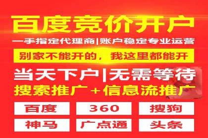 SEM运营推广策略：成功案例解析
